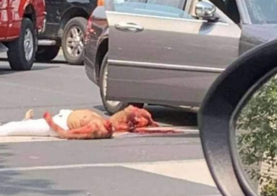 Minnesota Woman Decapitated In Broad Daylight