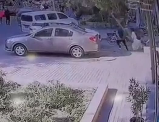 Falling Tree Ends Couples Day