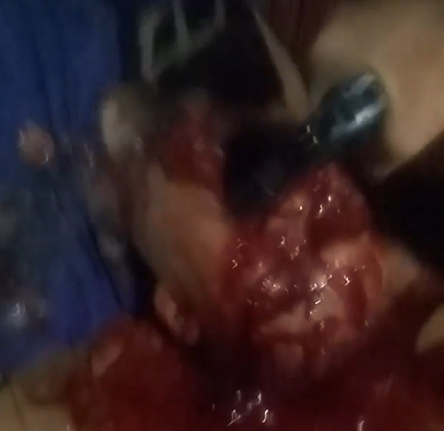 On The Next Episode Of Brazilian Gang Wars