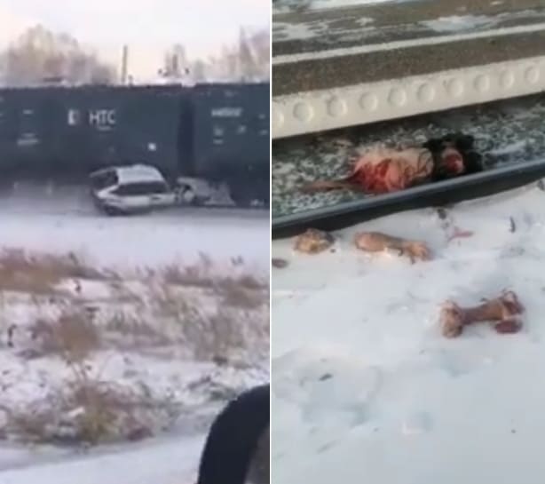 Lada Driver Ripped To Shreds