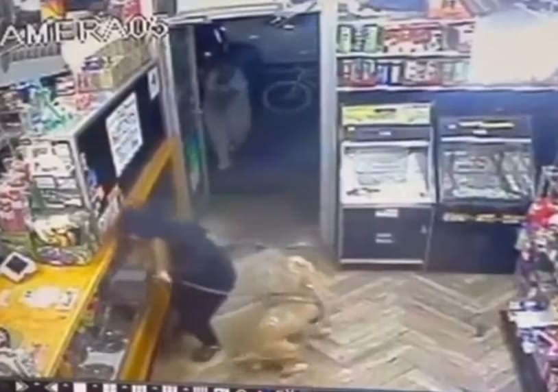 Woman And Her Dog Fatally Shot Inside Brooklyn Bodega