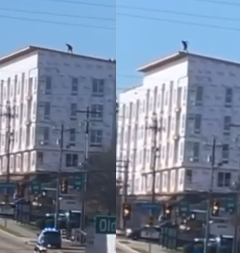 Running Start Before The Jump