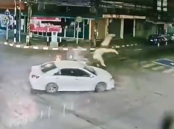 Speeding Biker Turned Into Ragdoll At Intersection