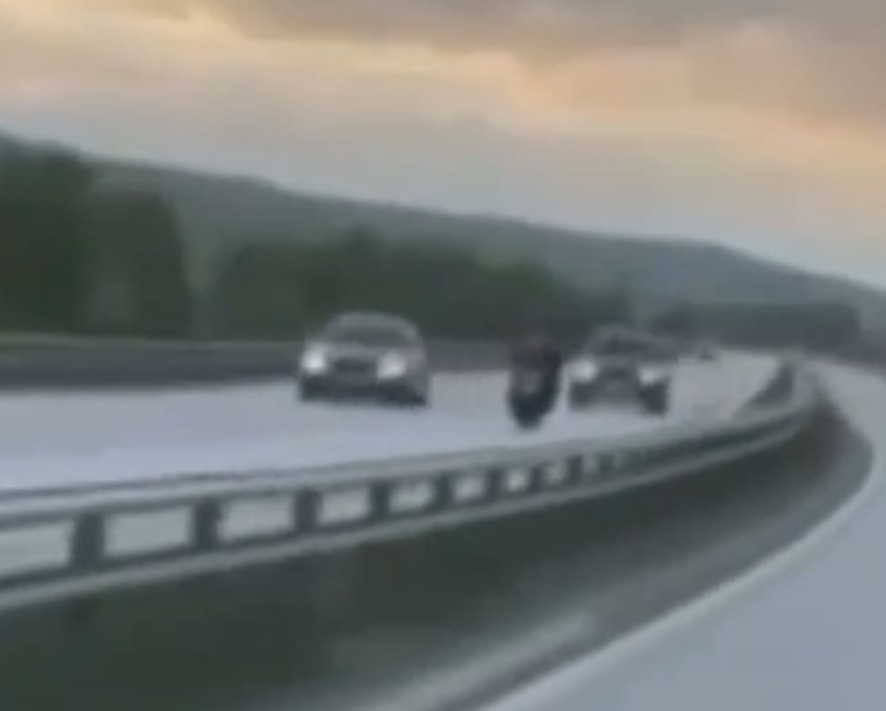 True Definition Of Ragdolled