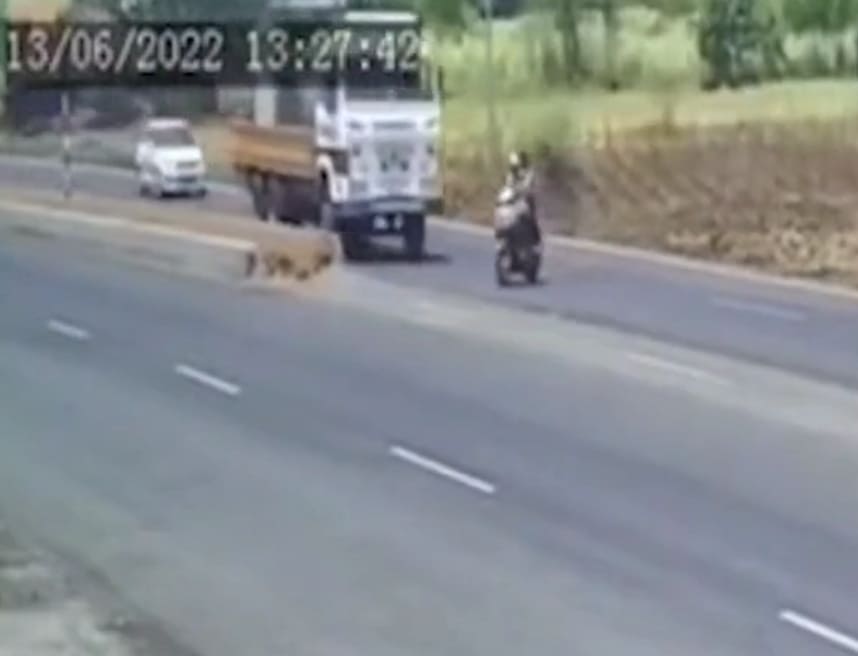 Husband & Wife Obliterated By Truck