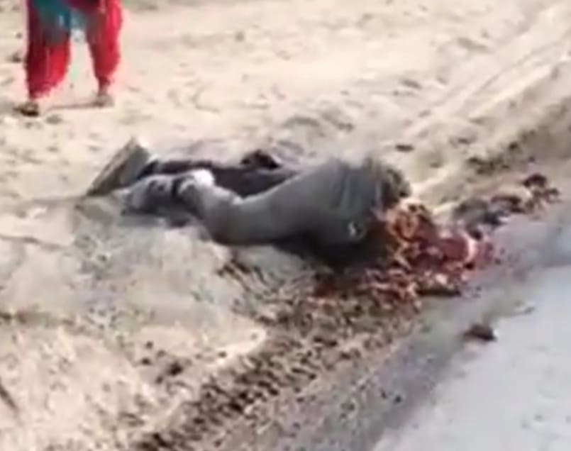 Just Follow The Trail...