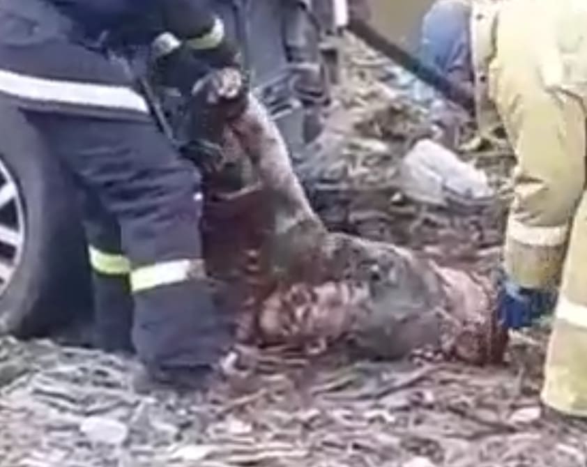 The Consequences Of Drunk Driving