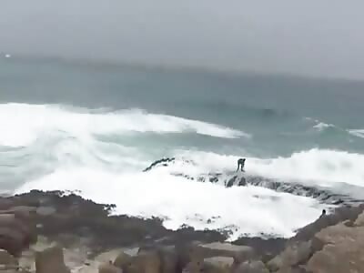 Family Swept Away Into Oman Sea