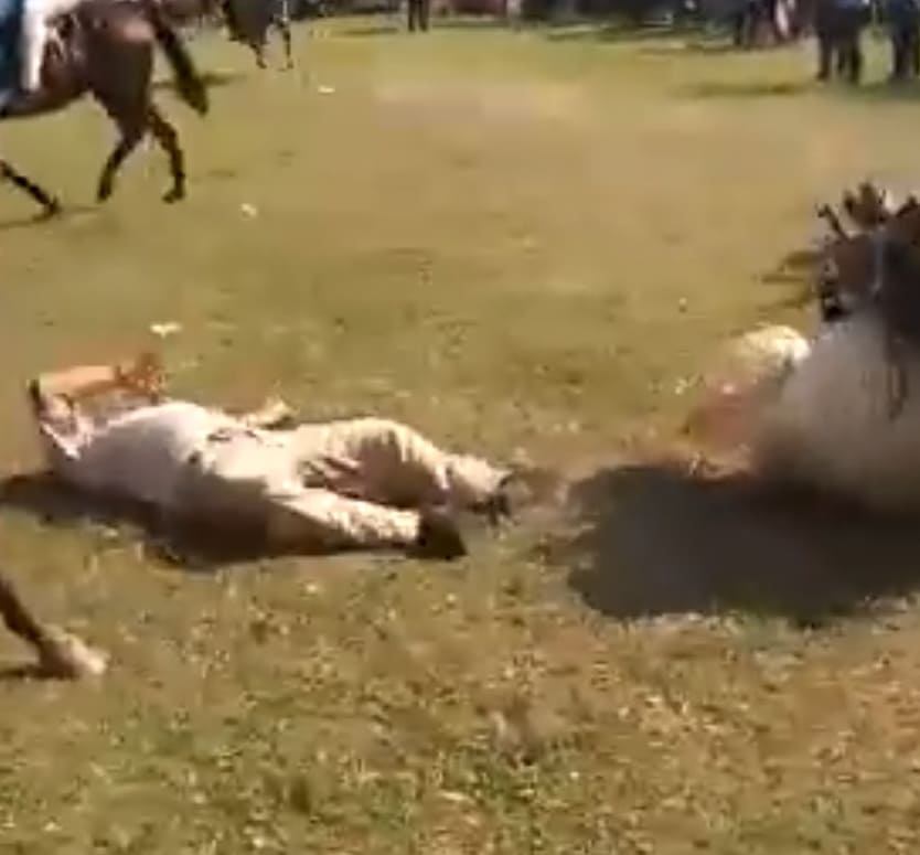 Man Fatally Injured During Horse Race