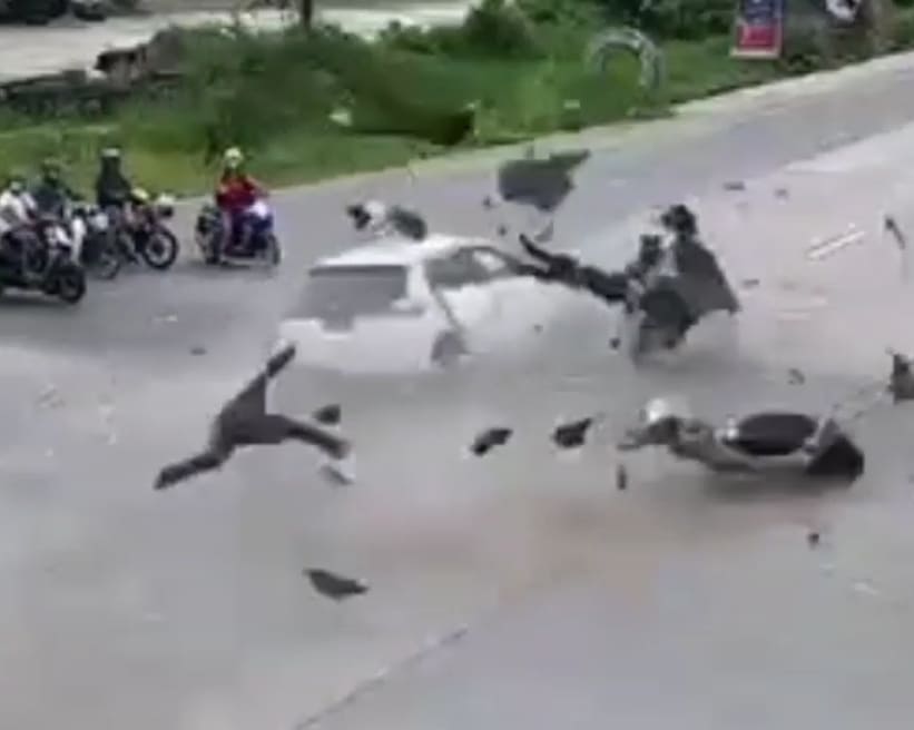 Taking Flight In Thailand