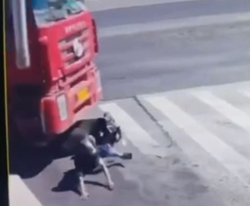 Helmet Couldn't Save Him!