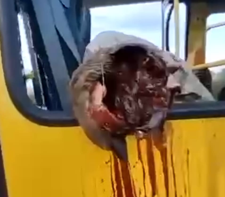 The War That Keeps On Giving