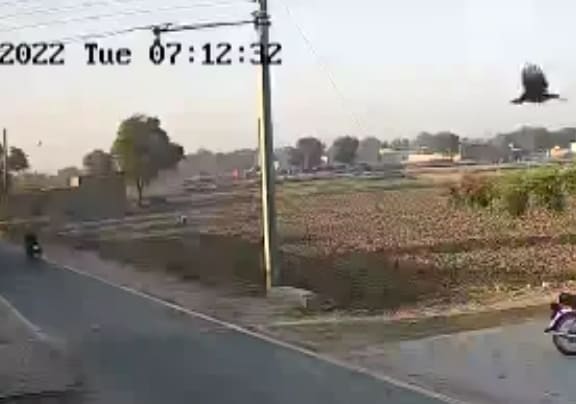 Angel Of Death Strikes