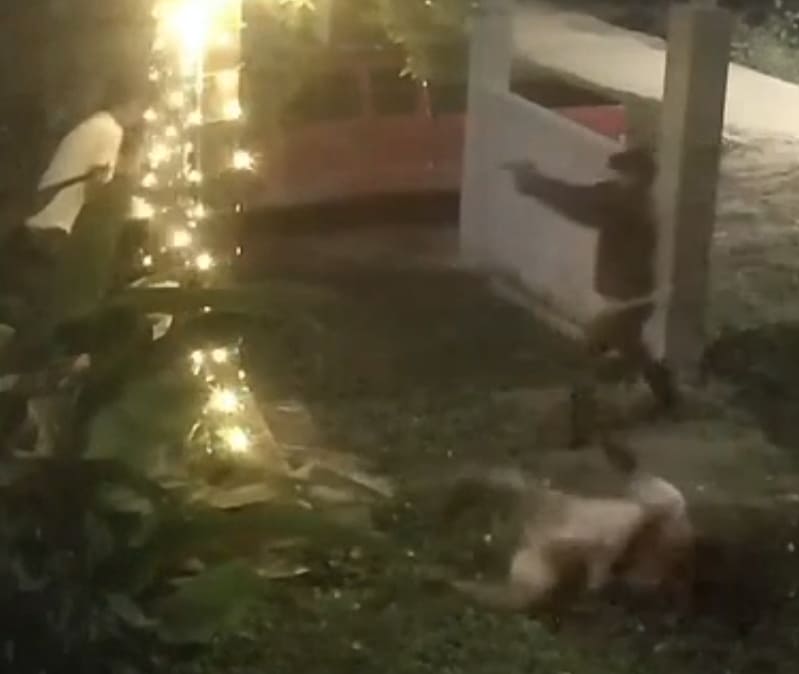 Brothers Gunned Down In Ambush