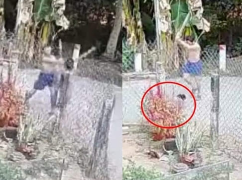 Elderly Woman Beaten To Death By Neighbor