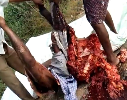 Straight Obliteration By Tractor Trailer.