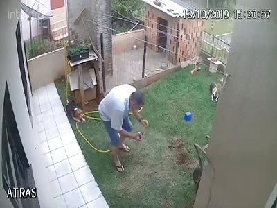 Just blowing up my garden 