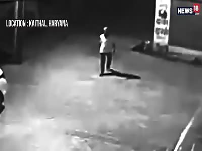 Dogs rescue newborn infant from drain in Haryana's Kaithal