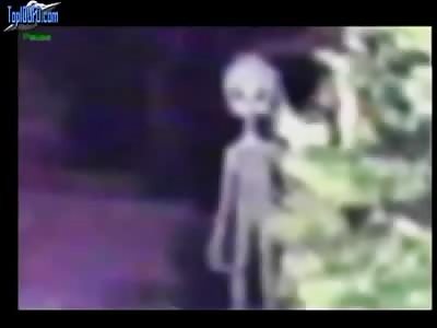 GREY ALIENS CAUGHT ON TAPE