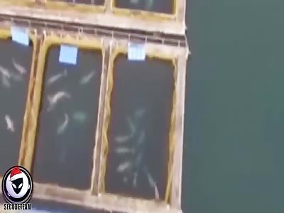 SECRET Drone Captures SHOCKING Underwater Ocean Installation