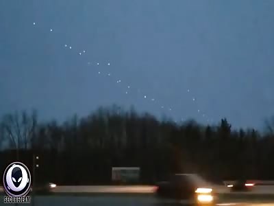 Is THIS Why Animals Are Vanishing