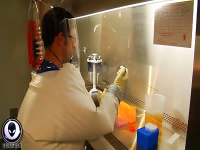 MEMORY Transplant Complete