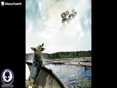 STRANGER Than Roswell - The Incident At Maury Island