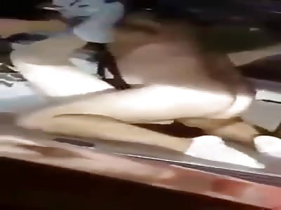 Masked crusaders fucking in the trunk