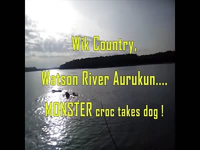 CROC EATS DOG: Aurukun, Cape York.