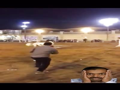 man attacked by horse