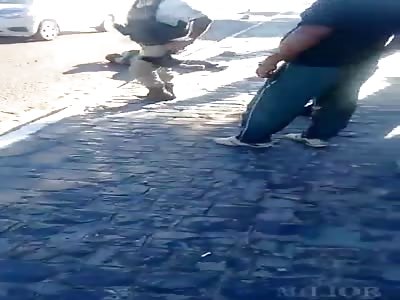 roadkill victim in Brazil