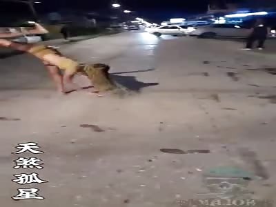 crazy transvestite accident