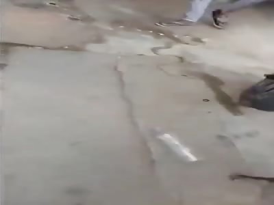 idiot , never kiss one snake