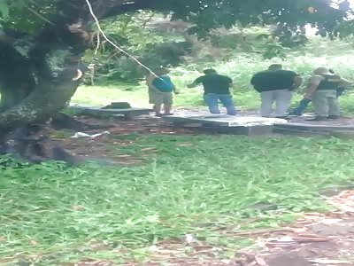 old man commit suicide in the tree