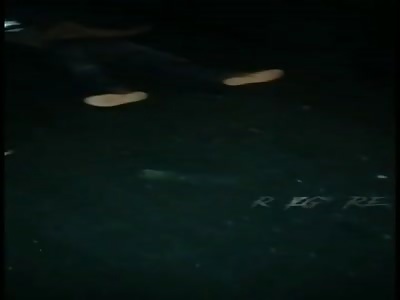 shocking bus accident