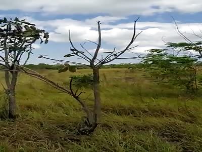 man found death in the field