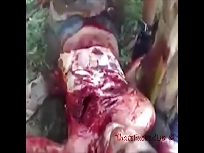 Mad World! - A Gore Compilation