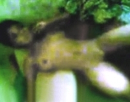 Cheating Wife is Caught but FORGED to Keep Fucking the Guy 