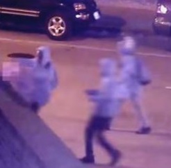 3 Thugs Brutally Murder Elderly Woman in DC