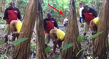 Farm Owner Doesn't Realize They Are Catching Him with the Servant