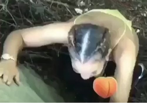 This Bitch is Having a Shitty Day!