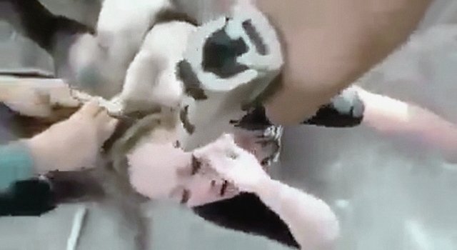 This August Weekend in Brutality.