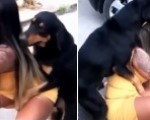 LOL: Woman makes dog very horny
