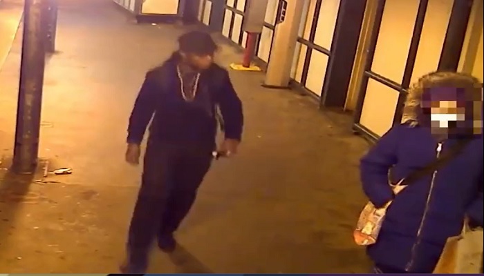 Man in Lawless NY Assaults an Asian Woman Waiting for Subway