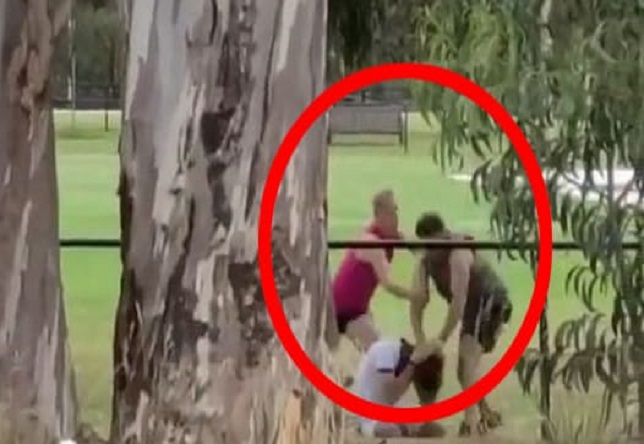 Covid Deranged Father Attacks Jogger In Park After Accusing of Not Social Distancing 