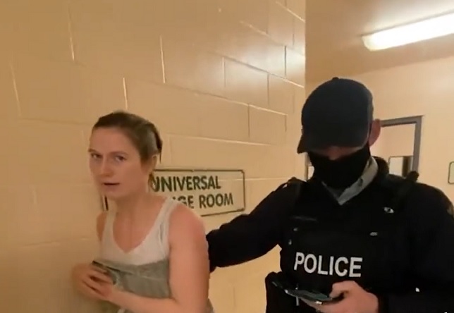 Pregnant Woman Beaten by Police For Not Wearing a Mask by a Pool