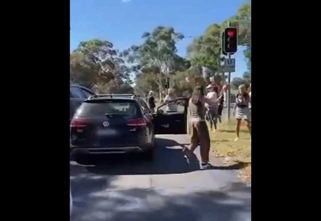 PT2: Second Video Shows Whackjob Who Crashed Into