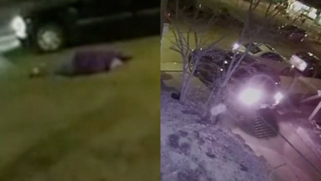 Man Walking Down The Street Gets Shot in a Drive-By