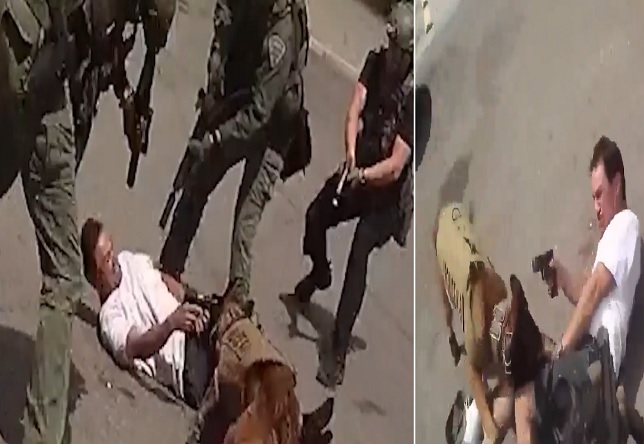 Suspect Points a Gun at a K9 & Ends up Paying the Price!