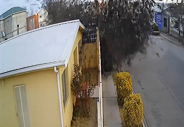 HOLY SHIT: Entire Flock of Birds Drops Dead From Sky